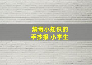 禁毒小知识的手抄报 小学生